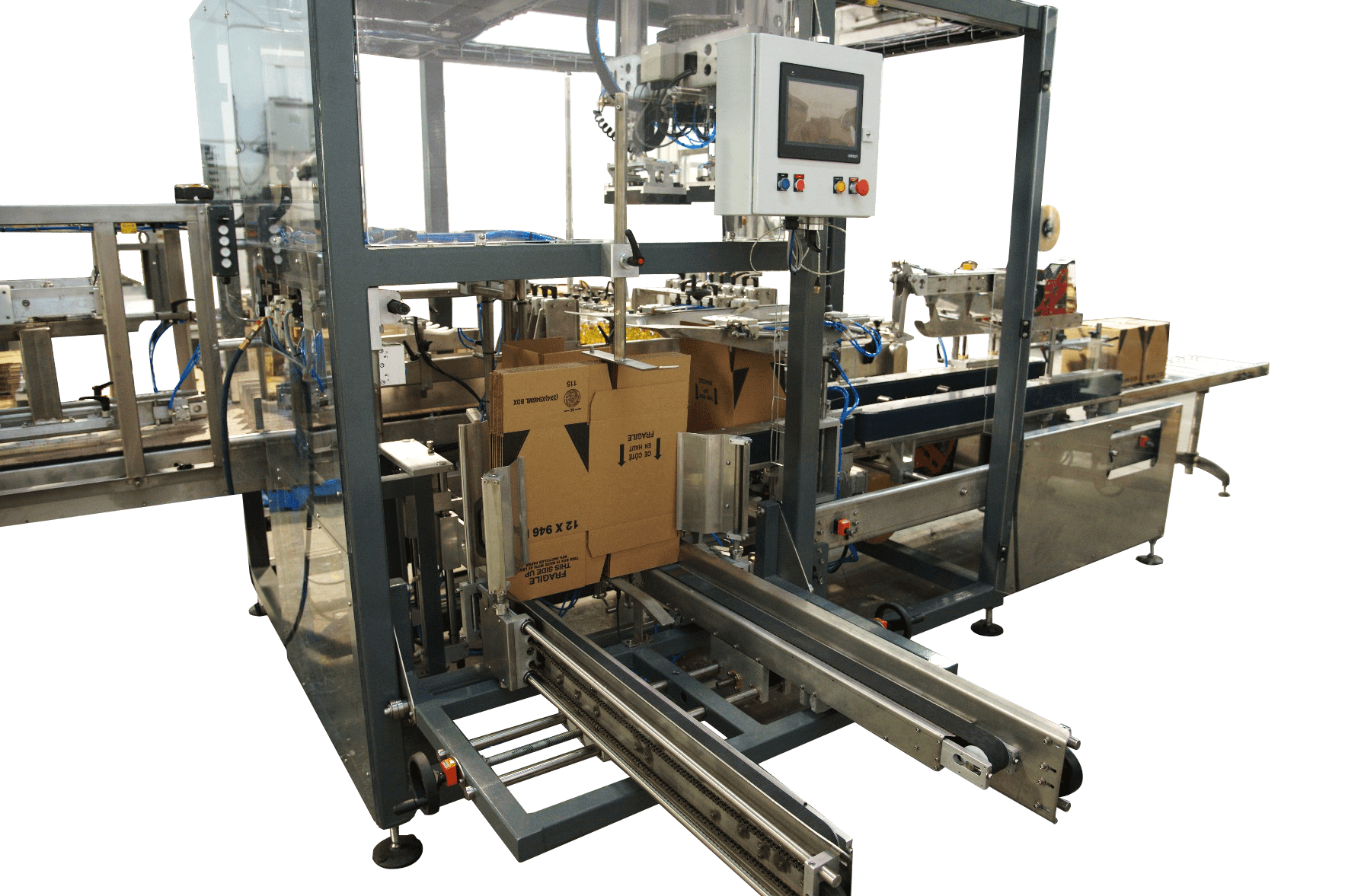 Automatic case packer for bottles